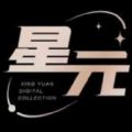 星元数字藏品平台官方版