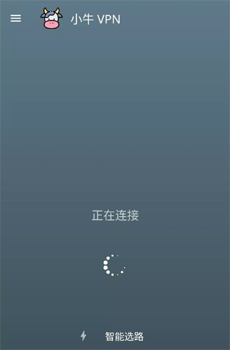 小牛vp加速器ios版