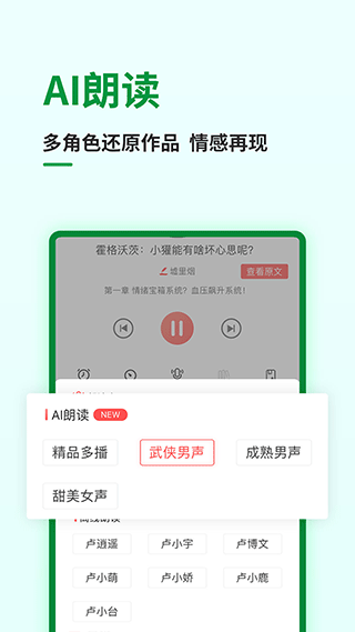 飞卢小说经典版